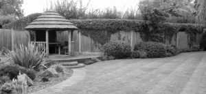 black and white image of 3 metre thatched gazebo in corner of garden